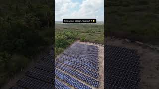 Seja Sócio Cotista em uma empresa de energia solar que mais cresce no Brasil [upl. by Eiramac535]