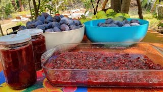 Bal kıvamında erik reçeli nasıl yapılır  Turkish plum jam recipe  türkische Zwetschgenmarmelade [upl. by Noll145]