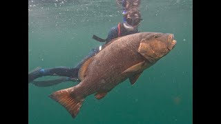 World Record African Brown Snapper Trip FULL VIDEO [upl. by Norod]