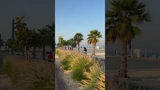 Weekend morning at the beach 😌😌 lofi chill dubai beach [upl. by Tevis]