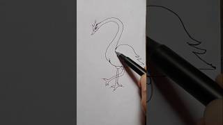 Heron bird  बगुला  बक shorts videos reel [upl. by Anaed628]