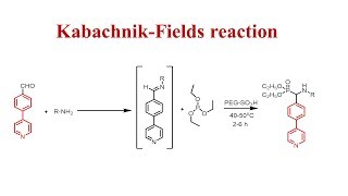 Kabachnik Fields Reaction  Mechanism and Applications [upl. by Ybeloc]