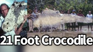 25 Foot Crocodiles Could Exist Rom Whitaker Interview [upl. by James]