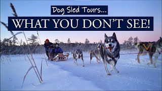 Dog Sled Tours  WHAT YOU DONT SEE Life behind [upl. by Alderson998]