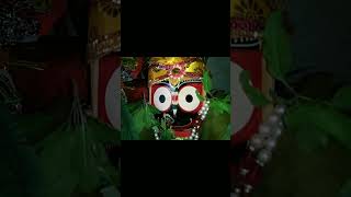 Jagannath odia bhajan 🙏🙏 jagannathbhajan shortvideo [upl. by Seltzer]