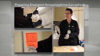 Making an Emergent NorepinephrineLevophedDrip [upl. by Scharf]