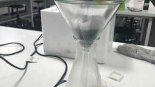 Day 2 Benzoic Acid Experiment and Melting Point Video [upl. by Kong]