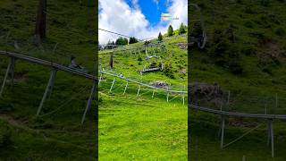 Longest Toboggan In Switzerland 🇨🇭 follow for more daily shorts 🇨🇭 [upl. by Fabian]