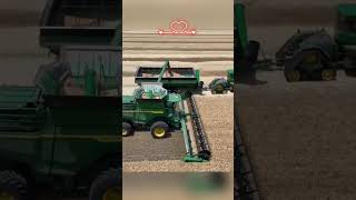 Wheat Harvesting Breakthrough With Modern Machinery agriculture technology shorts [upl. by Victoria]