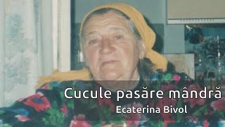 Ecaterina Bivol  Cucule pasare mandra cover romanian folk music [upl. by Gilberta]