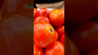 Tomato  Recipe youtubeshorts [upl. by Camilo125]