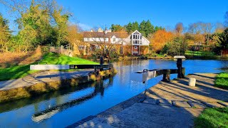 A Walk Along the River Stort Roydon to Sawbridgeworth [upl. by Icul]