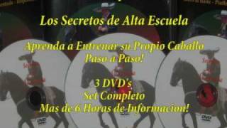 Los Secretos de Caballos Bailadores [upl. by Jablon724]