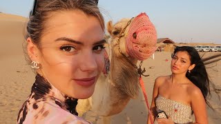 24 Hours in Abu Dhabi With WolfieCindy [upl. by Rosalynd875]