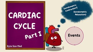 AS Biology  Cardiac cycle OCR A Chapter 85 [upl. by Kcirdnekel]