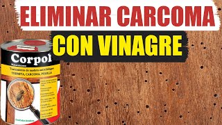 Cómo eliminar la carcoma con vinagre [upl. by Lefty]