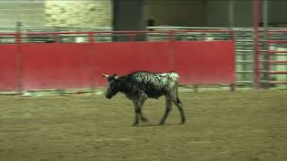 Texas High School Rodeo Association Region VIII Live Stream [upl. by Kirbee]