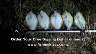 Spearing Flounder at Whangarei With Underwater Gigging Lights [upl. by Owen]