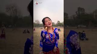 New Sonam Losar song  sarmila Tamang  bgmi shortsfeed tamangsong trending bgmi [upl. by Harikahs]