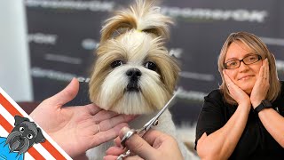 Shih Tzu grooming  Shih tzu haircuts with a very tangled coat [upl. by Leinaj]