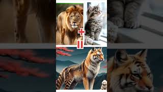 Hybrid Animals ai Hybrid Hybrid Creat ai animals shorts viralvideo video [upl. by Goldsworthy]