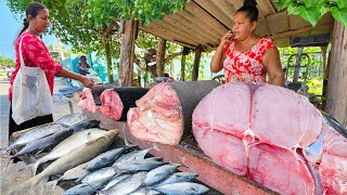 Amazing Rustic Village Beautiful Super Fish Markets Hard Day Life Of Villagers [upl. by Amrita]