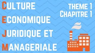 CEJM  Th1 Chap1  Lenvironnement économique de lentreprise [upl. by Lotsirhc]