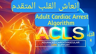 أسباب توقف عضلة القلب  كيفية التعامل مع توقف عضلة القلب  ADULT CARDIAC ARREST ALGORITHM  ACLS [upl. by Paulita372]