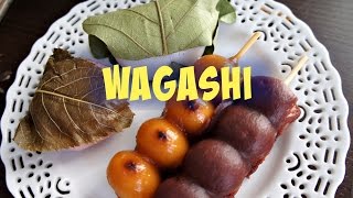 Tasting Wagashi traditional Japanese sweets  Whatcha Eating 153 [upl. by Tymes]