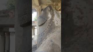 Hampi nandi hampi tourism shiva shortsviral shortsviral travel shorts shortsfeed [upl. by Annairdna]