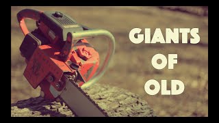 Lets Cut Wood With A Giant Of Old  Homelite Super XL Automatic Chainsaw [upl. by Allard]