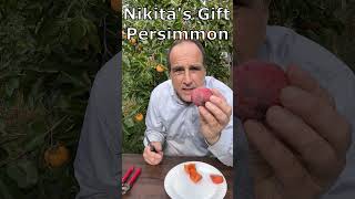 How do I eat a Persimmon fruit Theres 3 ways politely sorta politely and inthegarden style [upl. by Nailil]