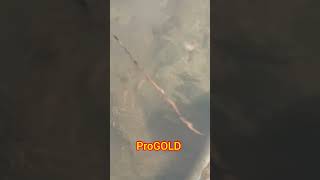 Природный крестик золотой золото старатели progold gold goldprospector [upl. by Ahtram430]