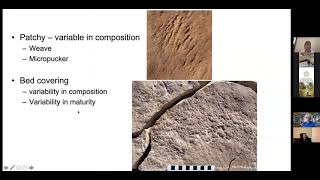 Ediacaran Textures of Life The ecological biological and sedimentological Dr Mary Droser [upl. by Cassiani540]