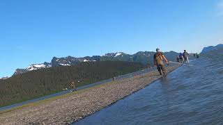 Red Salmon Snagging at Seward Alaska update 4th of July 2021 [upl. by Matheny]