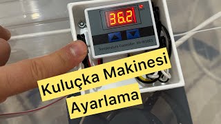 Kuluçka Makinesi Isı Ayarı  W 3001 Termostat Nasıl Ayarlanır [upl. by Abra817]