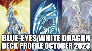 BLUEEYES WHITE DRAGON DECK PROFILE OCTOBER 2023 YUGIOH [upl. by Marinna736]