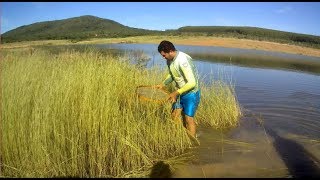 PESCARIA DE PENEIRA NA BARRAGEM DE TRÊS MARIAS [upl. by Shaver435]