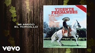 Vicente Fernández  Mi Amigo el Tordillo Cover Audio [upl. by Congdon]