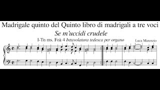 Luca Marenzio – Madrigalo quinto „Se m’uccidi crudele“ [upl. by Alletse]