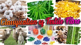 Classification Of Textile Fibers  Sources Of Textile Fibre [upl. by Narrad227]