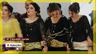 xoshtarin Zamavand RojhelatFarshad Amini The best Kurdish wedding and dance new 2023 [upl. by Gardal594]