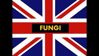 How to pronounce quot Fungi quot in English Authentic British accent [upl. by Holmes201]