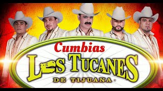 Los Tucanes De Tijuana  Cumbias Moviditas Pa Bailar [upl. by Bernelle349]