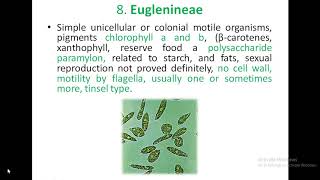 classification of algae by Fritsch [upl. by Ardnazxela]