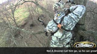 Go Pro footage from a WI Bow Hunt with Mathews Z7 Extreme [upl. by Bunni]