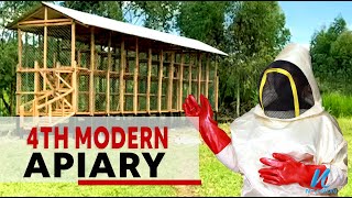 Inside the 4th Modern Apiary  Modern Bee Keeping [upl. by Arrej478]