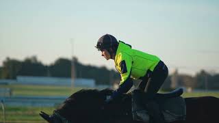 Pukekohe Park  Training Facility [upl. by Rialb]