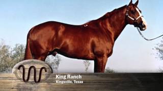 AQHA 75Year Breeder Salute [upl. by Herring]