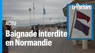 Deauville Trouville Baignade interdite après le débordement dune station dépuration [upl. by Hilaire]